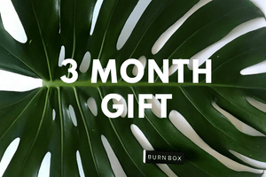 3 Month Gift Subscription