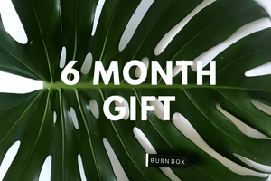 6 Month Gift Subscription